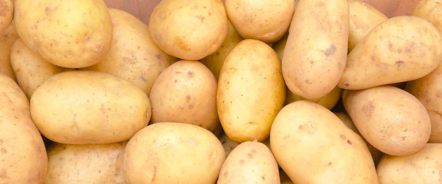 De aardappel in de spotlights