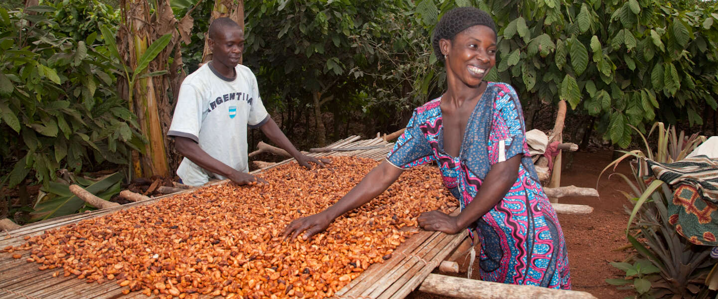 Cacao Barometer: Keurmerken zeggen niet alles, nog altijd problemen in keten