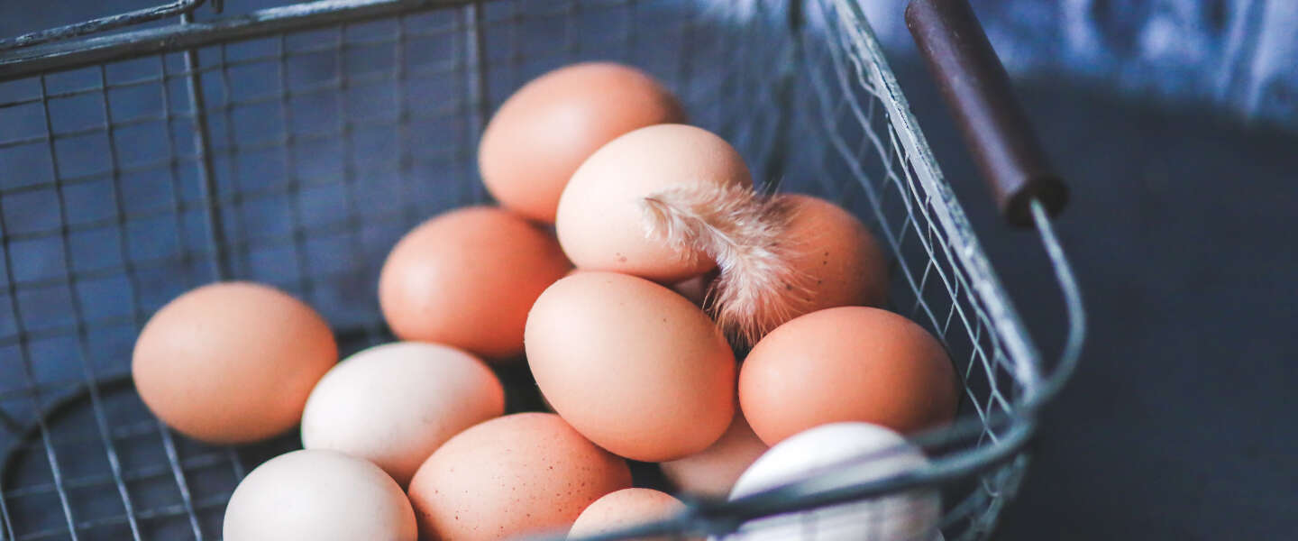 Vijf weetjes over eieren die je helpen om altijd de meest verse eitjes te eten