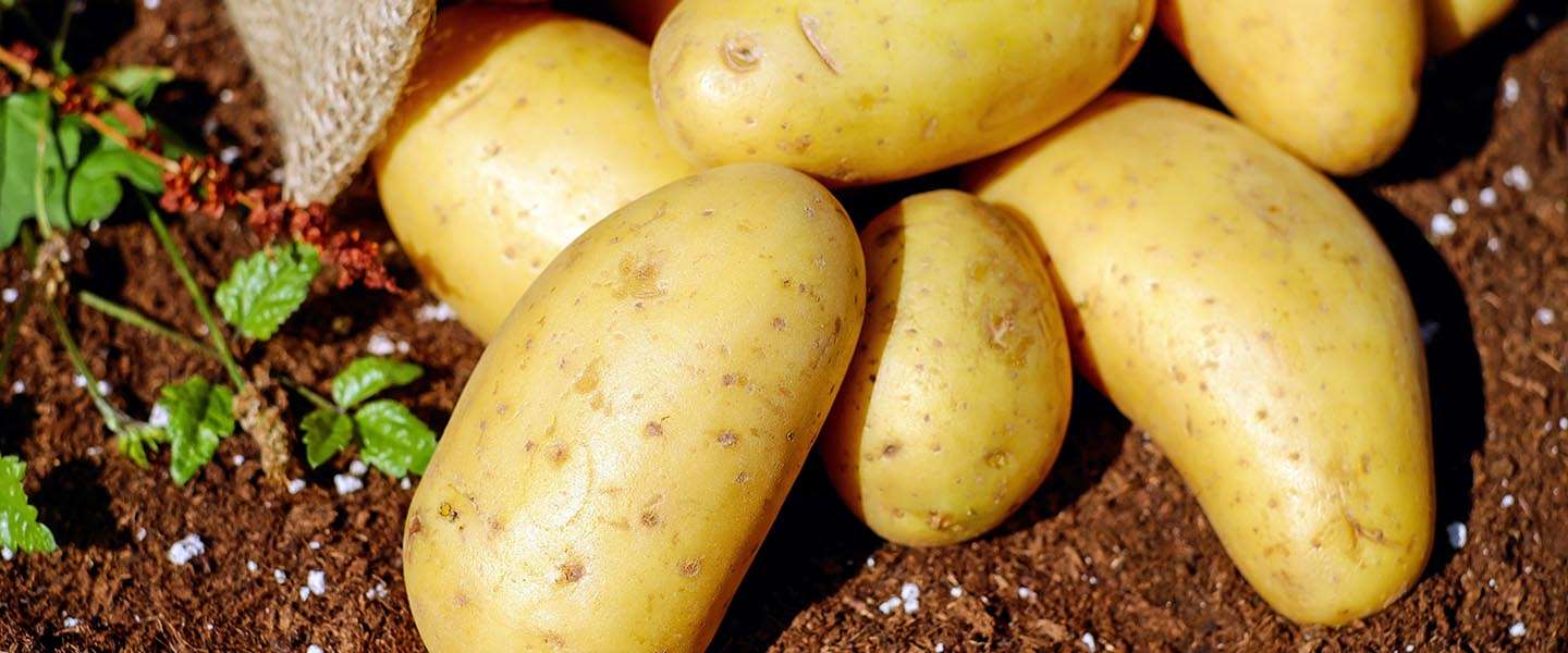 Piepershow: Pop-up restaurant brengt ode aan de aardappel