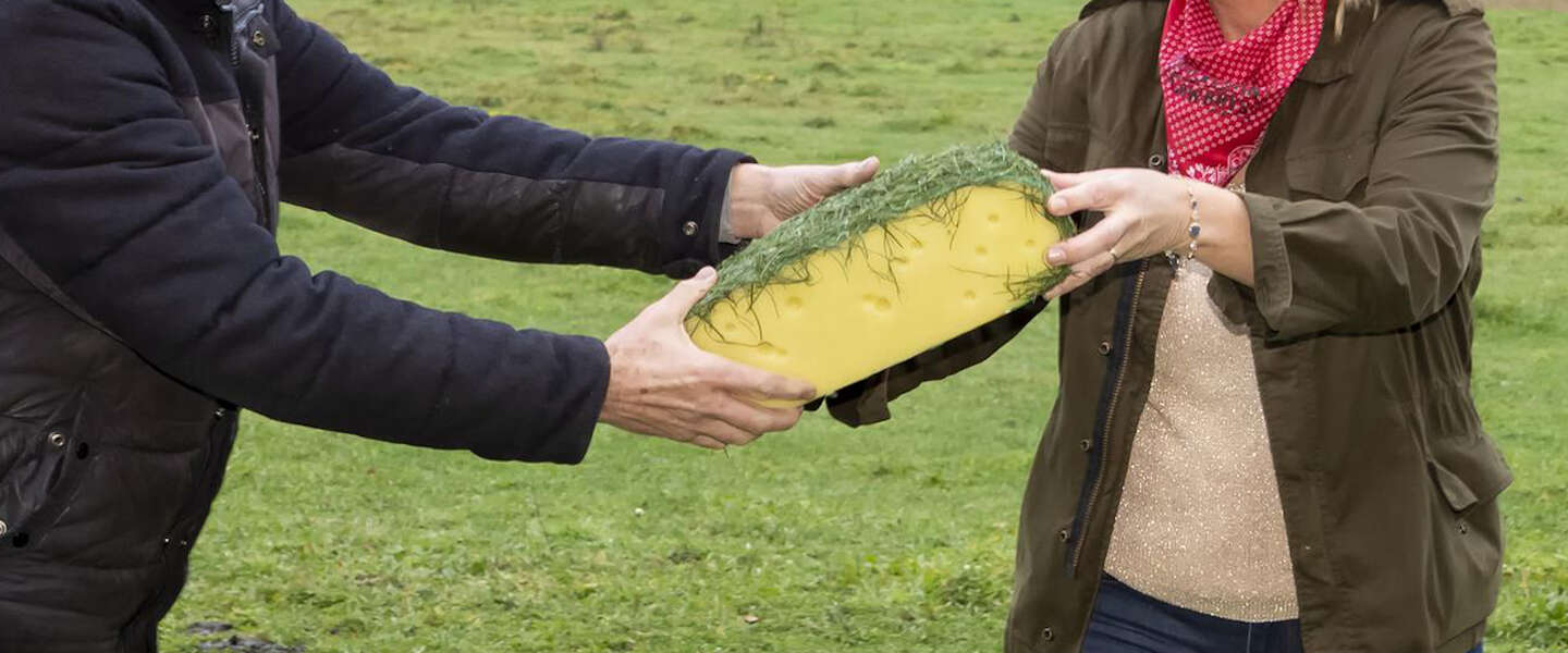 Westland Kaas en Those Vegan Cowboys lanceren samen 100% plantaardige kaas