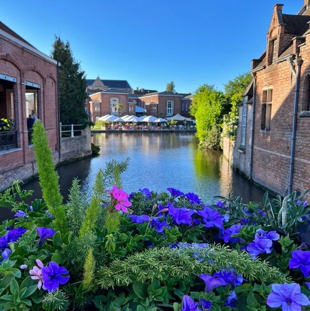 Brugge_bloemetjes