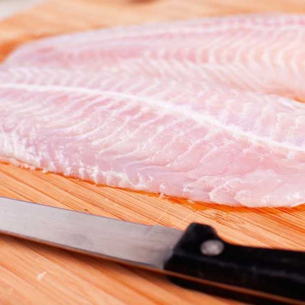 Eten van kweekvis groot gevaar voor onze gezondheid