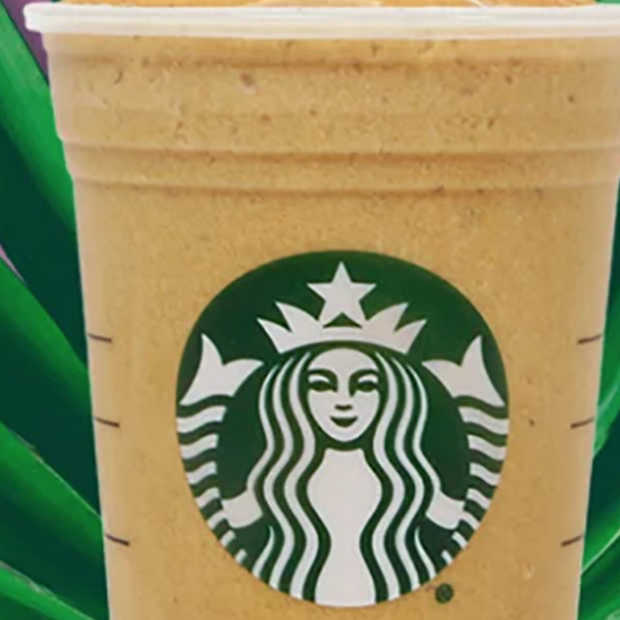 Starbucks brengt proteïnekoffie uit!