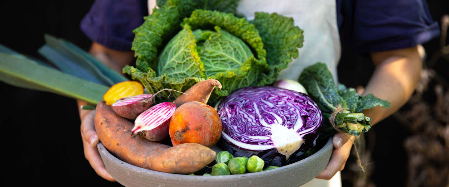 Crisp voegt zes nieuwe recepten voor kids van Vanja van der Leeden toe